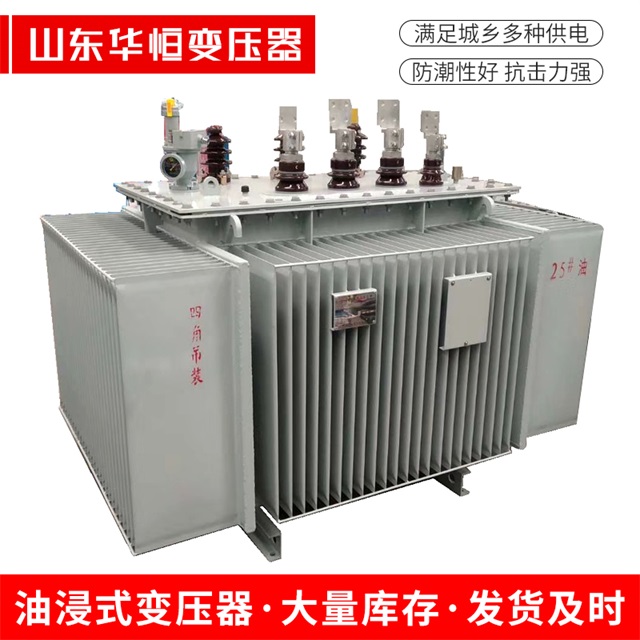S13-10000/35公安公安公安电力变压器厂家