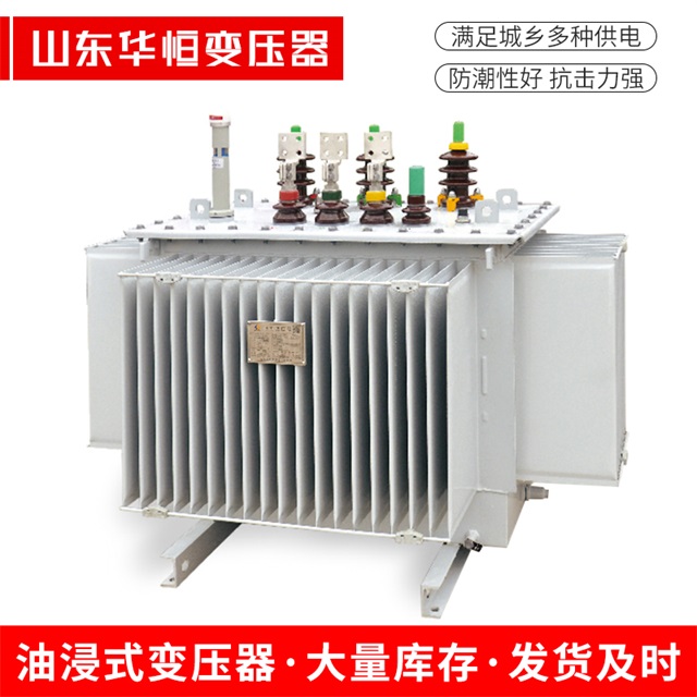 S13-10000/35公安公安公安电力变压器